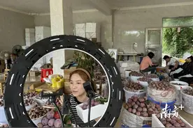 日销超1500吨！钱排三华李迎来上市高峰图片