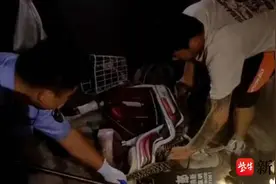 两米大蛇“骑”上电瓶车，众人合力将它“收服”图片