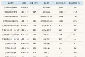 首家外资公募中国区“掌门人”离职，首只产品成立至今亏损约30%图片