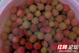 杨梅汤喝多了酸爽劲上头，感觉牙齿不是我的了图片