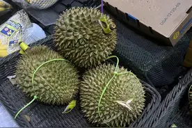 带壳榴莲售价赶上净果肉，说好的“榴莲自由”还能实现吗？图片