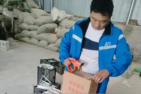 “土鸡蛋”变成农民的“金蛋蛋”图片