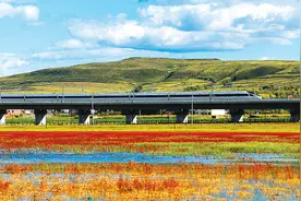 103组复兴号动车组，3万辆铁路货车！国铁开启百亿级别大采购图片