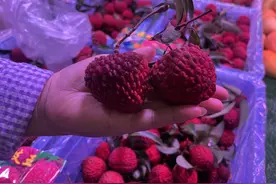 4颗要卖25元！鸡蛋大的“荔枝王”在昆明上市图片