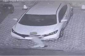 在车上贴贴？抓！图片