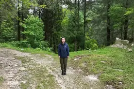 野化放归：探索野生大熊猫种群复壮之路图片