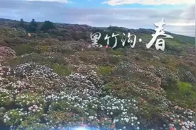 盛夏时节 来黑竹沟一起静享美好时光！图片