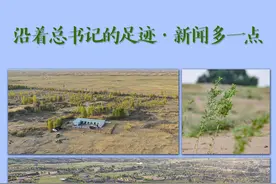 沿着总书记的足迹·新闻多一点｜什么是荒漠化图片