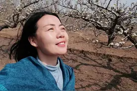 青未了|清生命之惑图片