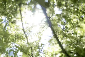 健康热点｜酷暑高温天，总觉得胸闷气喘，咋回事？图片