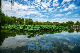 饮用水源地水质100%达标 济南今年前5个月水质指数排名居全省首位图片