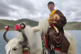 收下学长的6个锦囊，大学生活不虚度图片