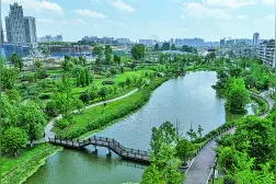 贵阳白云区：绿水青山白云间 生态发展正当时图片