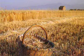 难忘昔日劳动课，照亮一生的时光图片