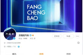 对标大G，比亚迪推出全新个性化品牌“方程豹”图片