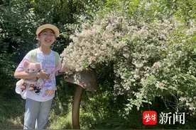 【佳作欣赏】扬子晚报苏州小记者工作室2023年第23周优秀作品“新鲜出炉”，欢迎投票！图片
