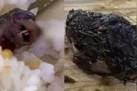 60秒梳理“江西一高校鼠头鸭脖”事件：有专家称80%概率为鼠头，省教育厅相关处室已介入视频封面