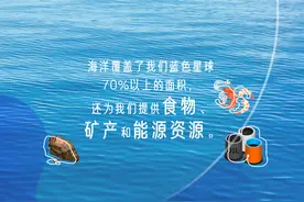 世界海洋日·海报｜保护海洋，守护蓝色家园图片