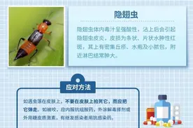 夏季蚊虫活跃，收好这份实用防虫手册！图片