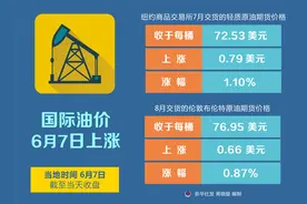 （图表）［财经·行情］国际油价6月7日上涨图片