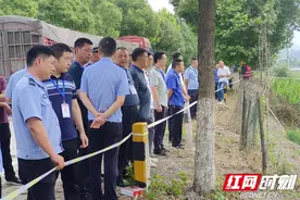 平江县南江镇：提升营商环境“软实力” 助力项目建设“加速度”图片