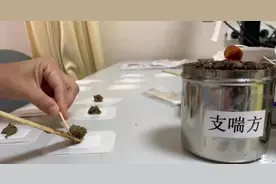 “三伏贴”开始预约啦！这四类患者适合贴敷图片