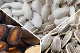 封面科考队丨社交“润滑剂”？刘烨对嗑瓜子“着迷”的原因找到了图片