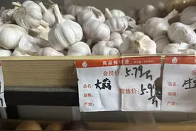 新蒜价格涨幅超一倍，持续数年的低迷蒜价迎“开门红”图片