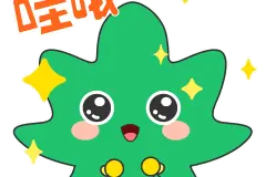 “中伏”酷热，家中盆栽如何安然度夏？图片