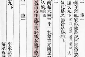 河南发现大宝贝，真中！图片