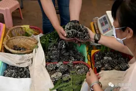 中毒预警！“野生菌魔幻季”又来了图片