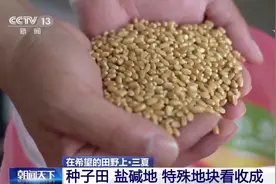 全国已收获冬小麦面积1.86亿亩！“新方法+新技术”助力抢收抢种图片
