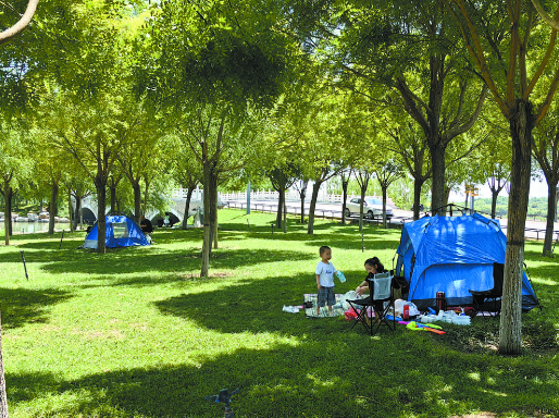 可搭帐篷、野餐！石家庄903块绿地开放共享