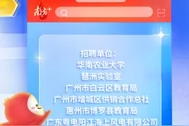 多个企事业单位招聘！应届往届都有机会 | 在+求职 金牌荐岗图片