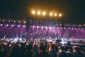 文化之窗｜140元的荧光棒是“割韭菜”还是“买情怀”？图片