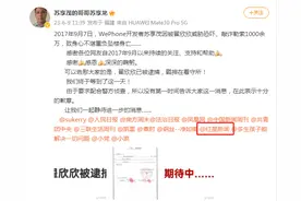 独家权威核实：翟欣欣已被批捕，或涉嫌敲诈勒索罪图片