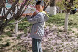 放风筝｜烟台中小学生习作园地图片