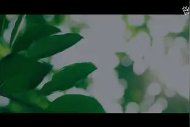 国防科大招生宣传片《高地之上》重磅发布！视频封面