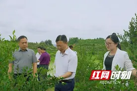 刘冬生到泸溪县达岚镇调研乡村振兴及安全生产工作图片
