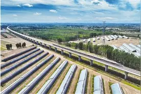 种大棚种出好生活图片