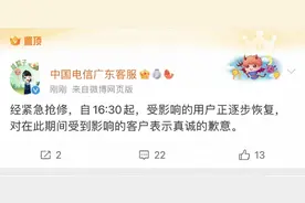 “断网”风波中的电信：故障原因尚未公布，一季度营收超千亿图片