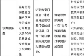 闲鱼为何在“职业卖家”和“个人用户”之间摇摆？图片