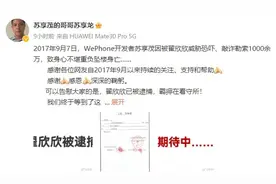 索要千万逼死丈夫？“翟欣欣已被批捕”，为何时隔6年才立案？图片