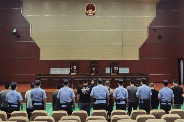 黑龙江公开宣判！85人获刑！