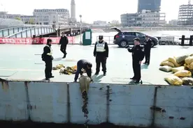 蛸（shāo）蜞（qí）是什么？为何20人因它被诉？图片