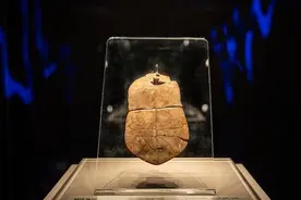 文化和自然遗产日｜以贾湖刻符龟甲为始，看汉字里的中国图片