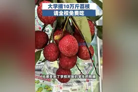 这所高校，10万斤荔枝免费吃！图片