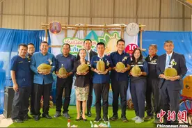 泰国榴莲重要产地开摘榴莲 办榴莲节庆祝图片