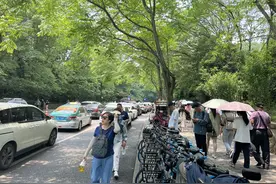 西湖景区打车难？潮新闻记者实地探访：有拒载，也有漫天要价图片