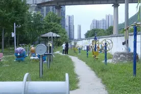 十几只宠物一夜之间离奇死亡，小区业主很担忧！警方已介入→图片